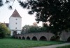 www.sarvar.hu
