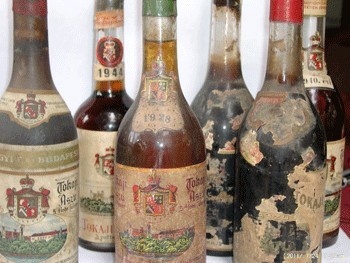 Tokaji_lgyula