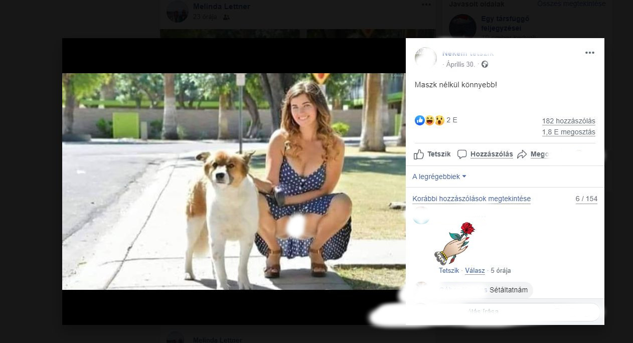 A Facebookon szabad a puncit mutogatni