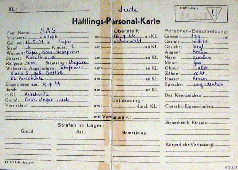 Pápai-11