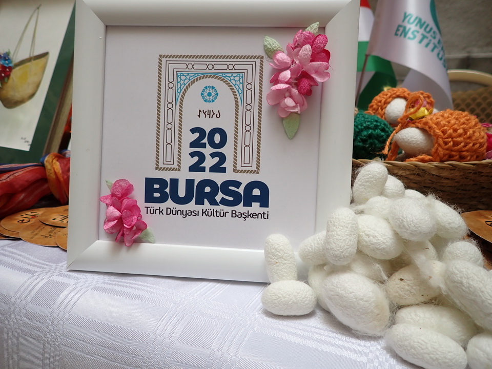 Bursa-6
