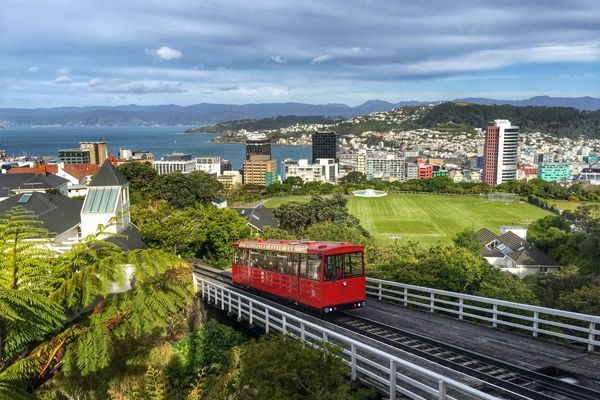 Zeland-9