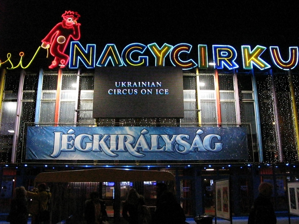 Jégkirály-8