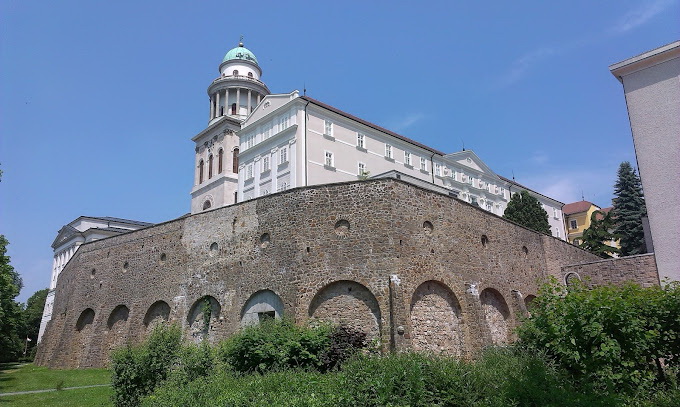 Pannonh-9
