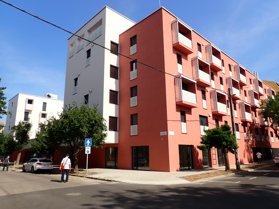 Petne-5